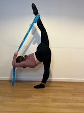 Load image into Gallery viewer, Multi Loop Stretch Band (T1096)