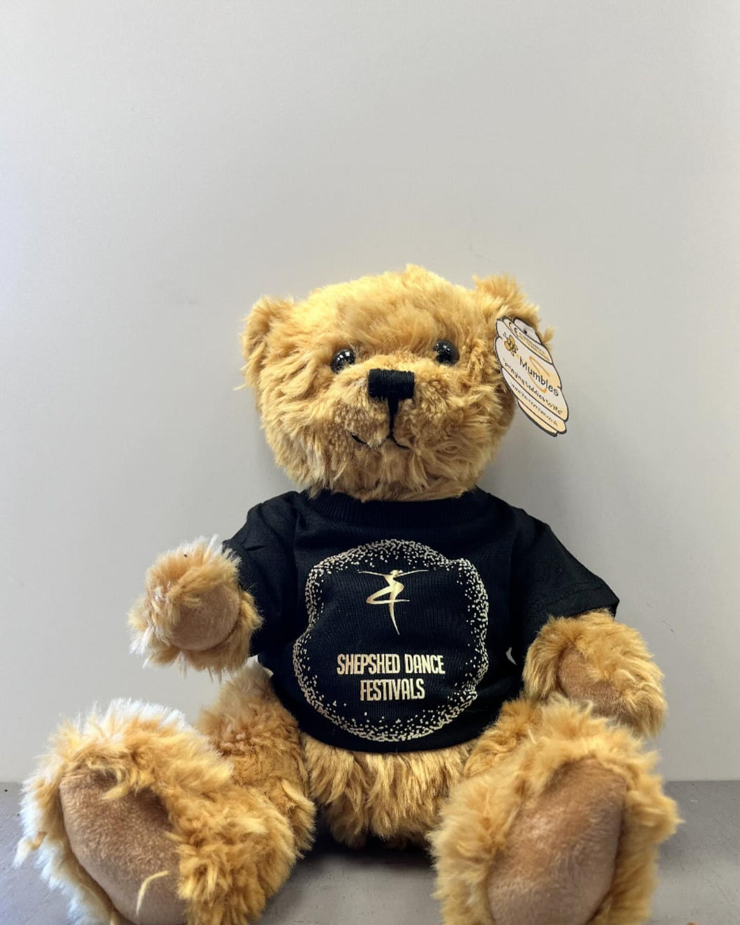 Shepshed Dance Festival Bear