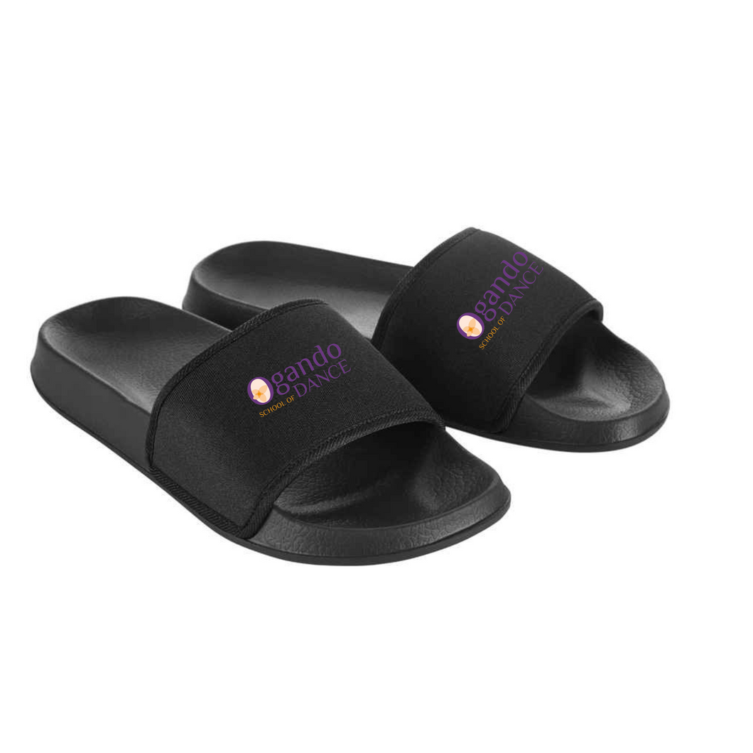 Ogando School of Dance Sliders