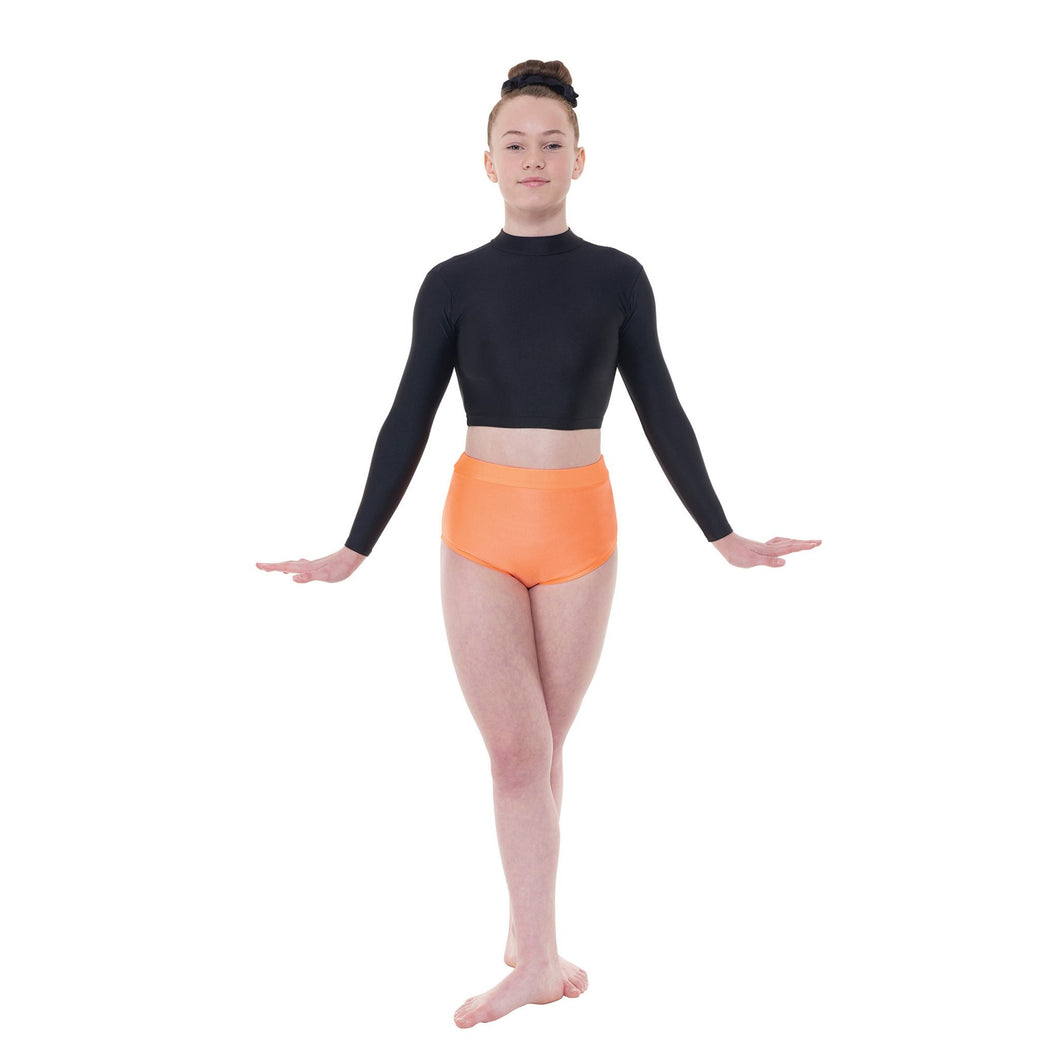 Turtle Neck Long Sleeve Crop Top
