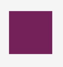 Load image into Gallery viewer, Carol Double Strap Leotard
