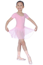 Load image into Gallery viewer, Pink Childrens Skirted Leotard
