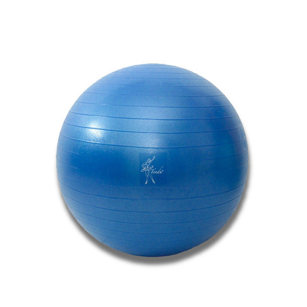 Tendu Yoga Ball 