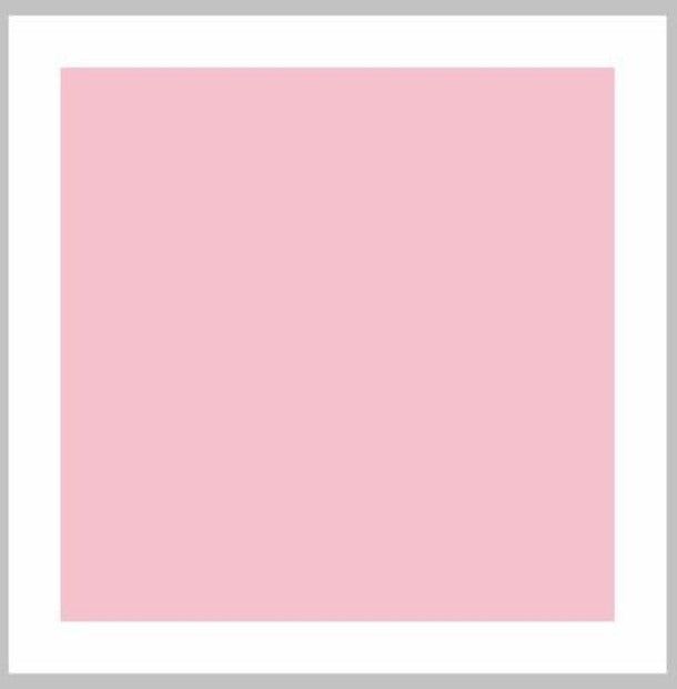 Pink Footed Girls/Ladies Dance Tights